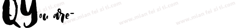 QYou are字体转换